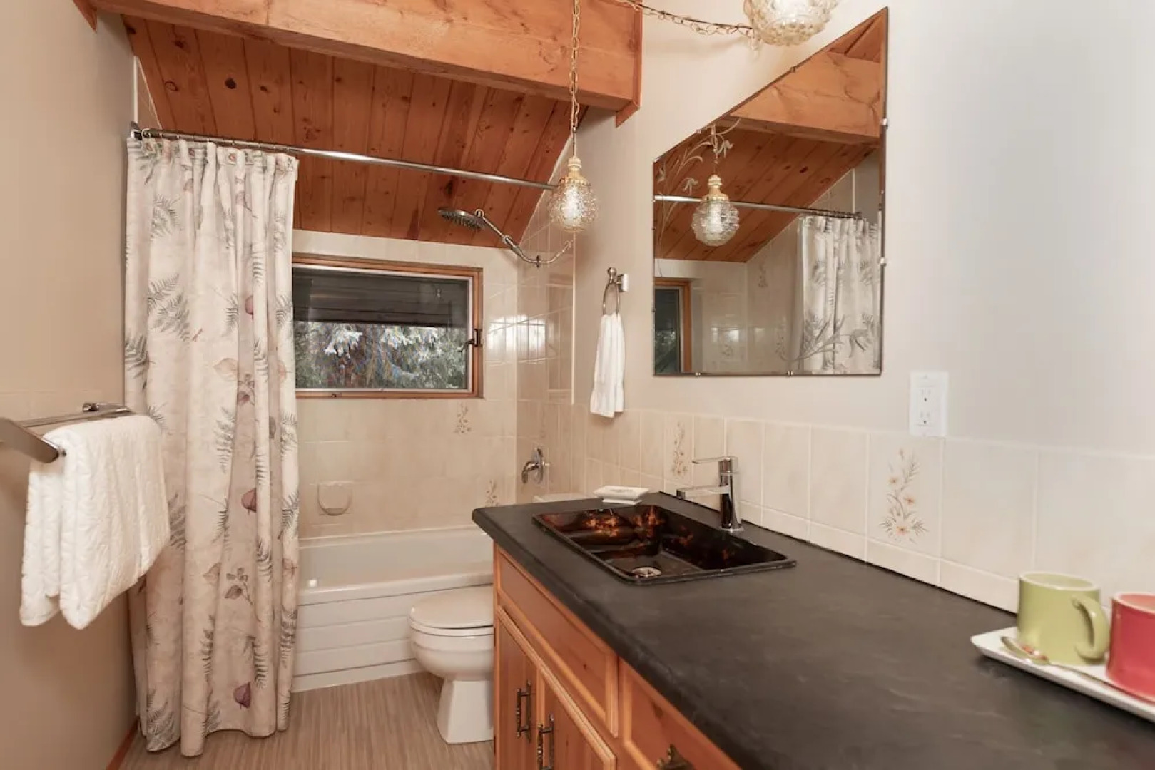 Mount Robson Mountain River Lodge