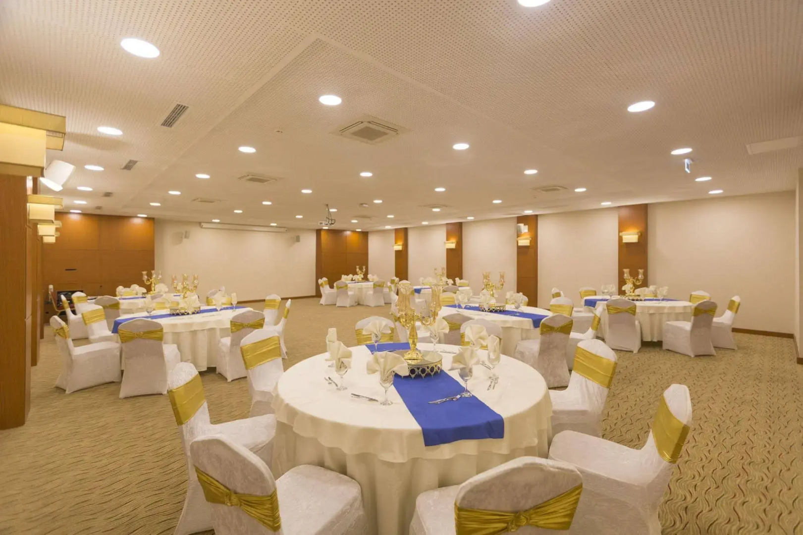 Park Dedeman Elaziğ