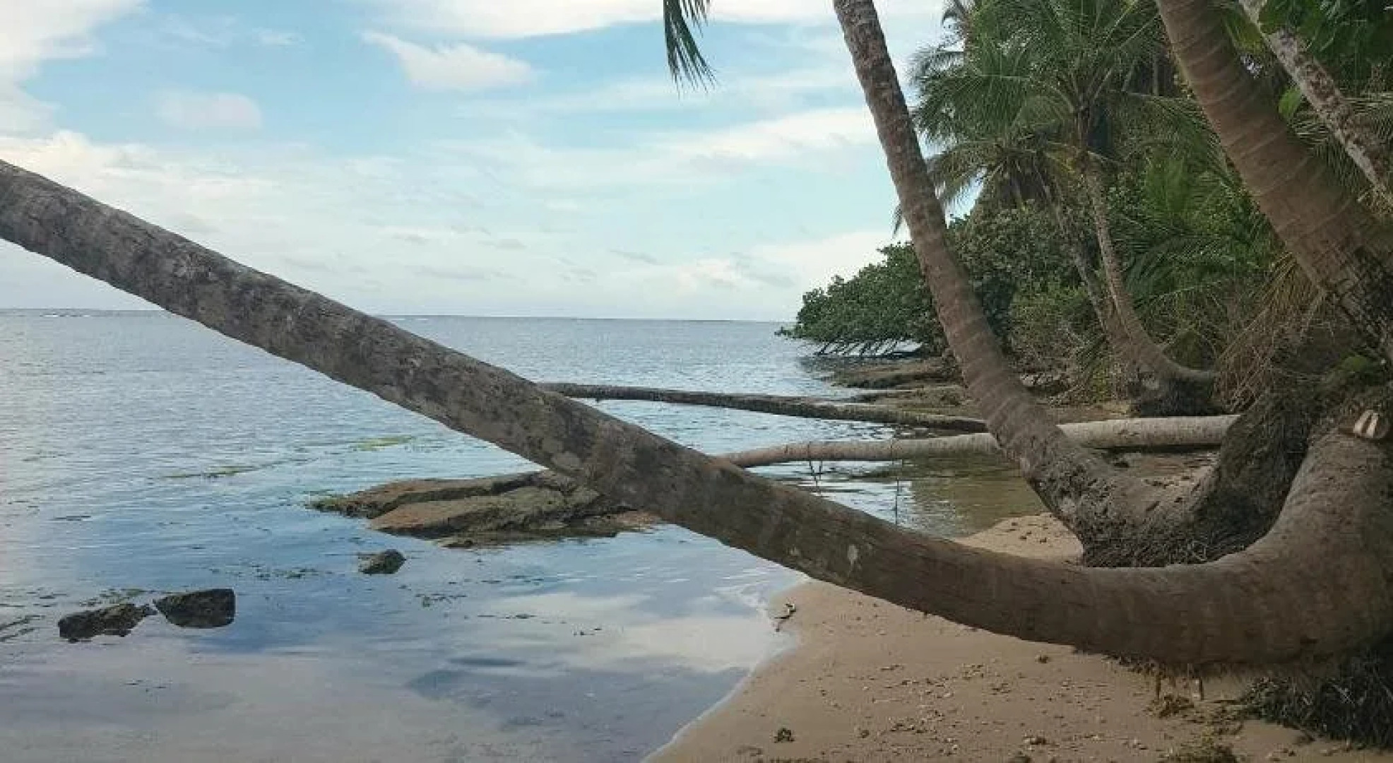 Ciudad Pérdida Ecolodge