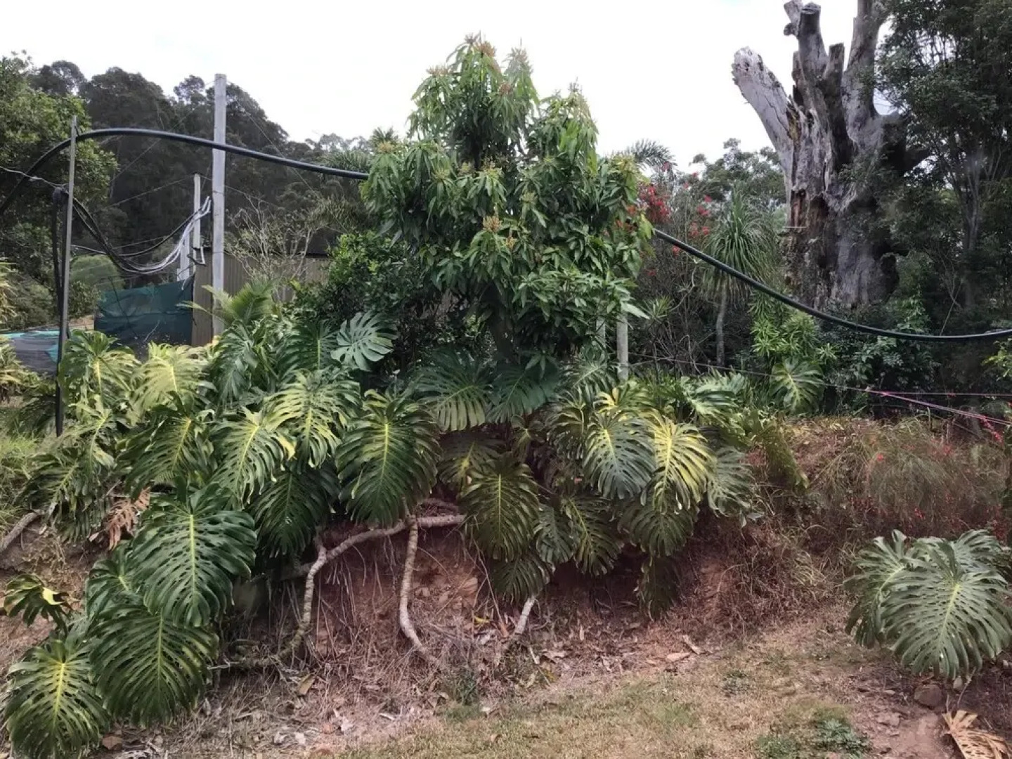 Rossmount Rural Retreat