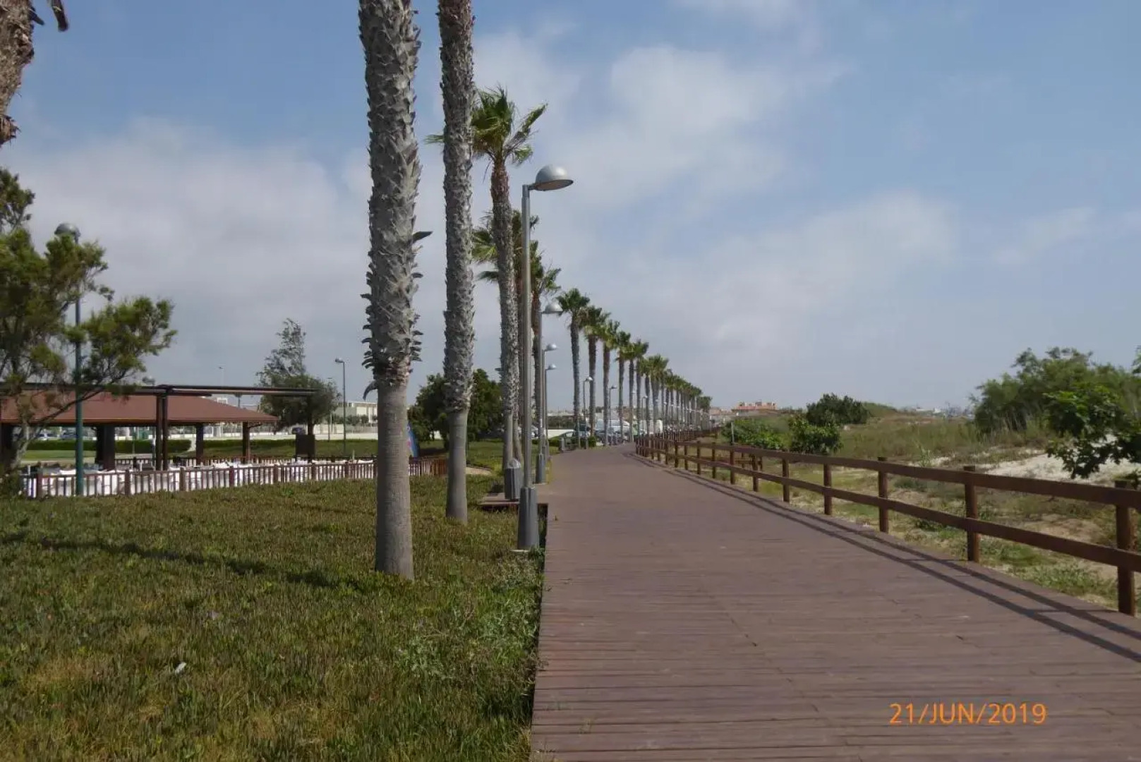 Higuericas Costa 211