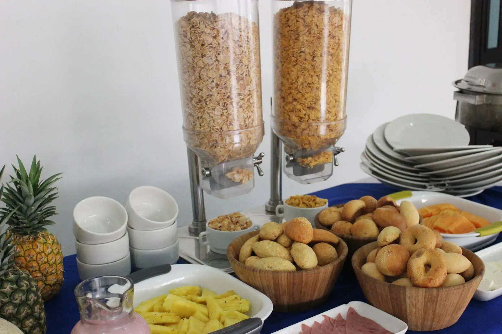 Hotel Metropolis Plaza