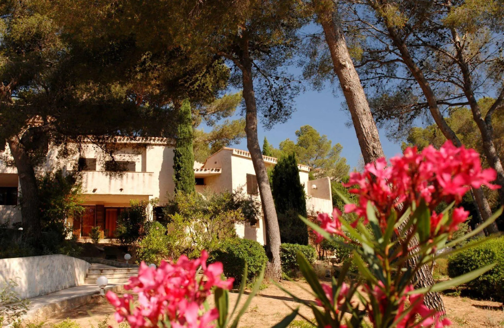 Résidence Odalys Les Mimosas