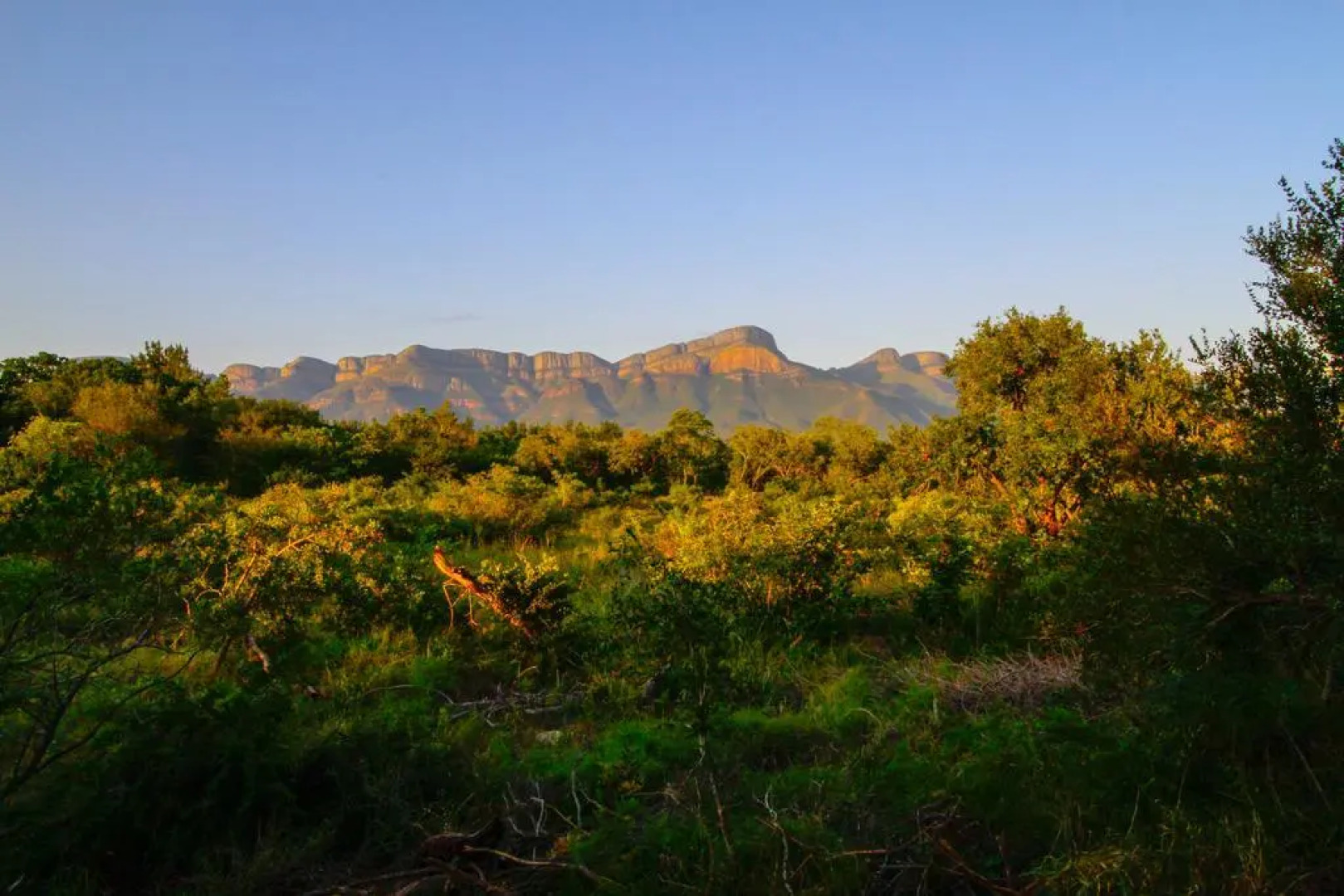 The Island River Lodge