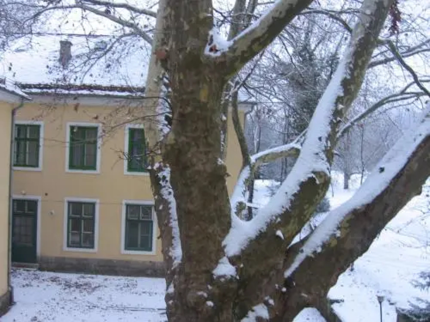 Mater Salvatoris House