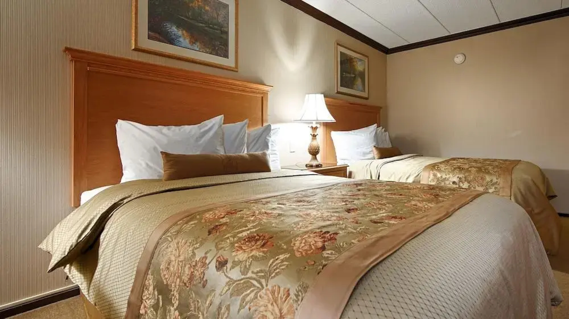 Best Western Motor Inn