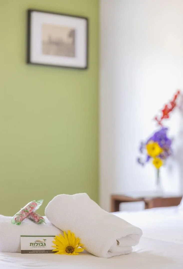 Kibbutz Gvulot Country Lodging