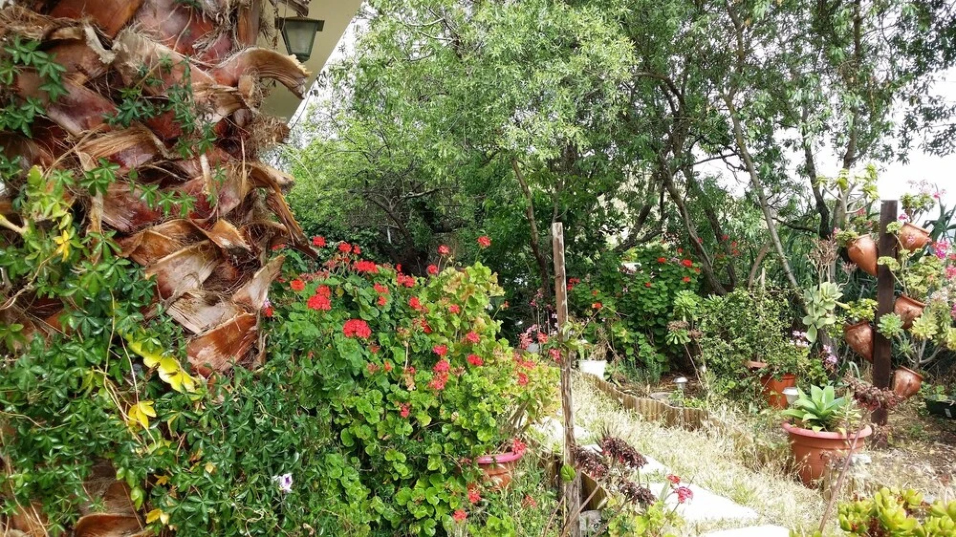 House With 2 Bedrooms in Valle de San Roque, With Wonderful Mountain V