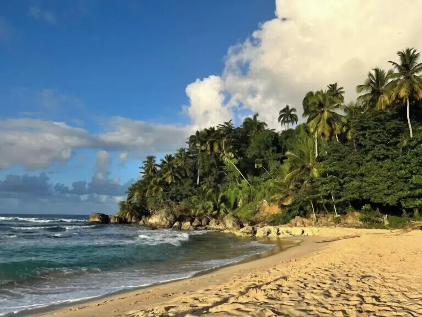 REFUGIO Sabaneta de Yásica