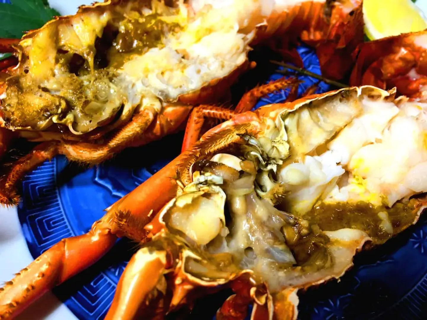 UOGASHI 7070 Annex KnowMe