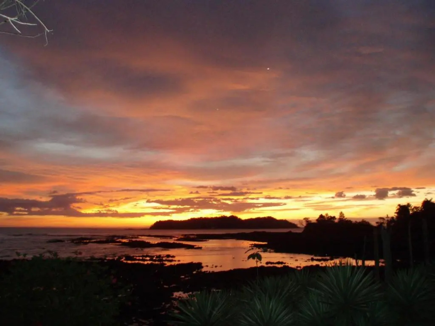 Hotel Hibiscus Garden / Jardin De Papos