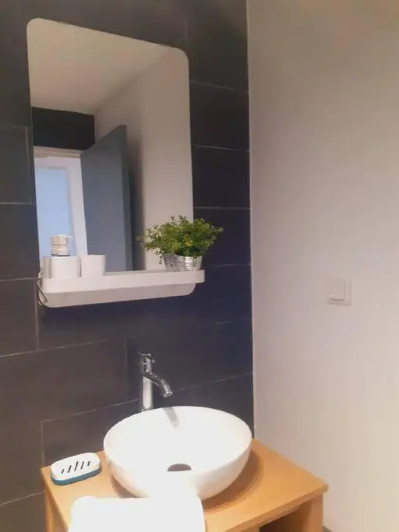 Zarlor magnifique t2 rénové proche clinique