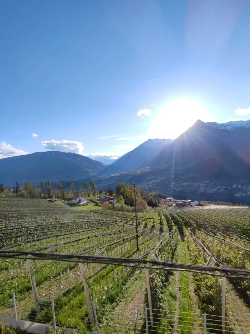 Prünsterhof Schenna