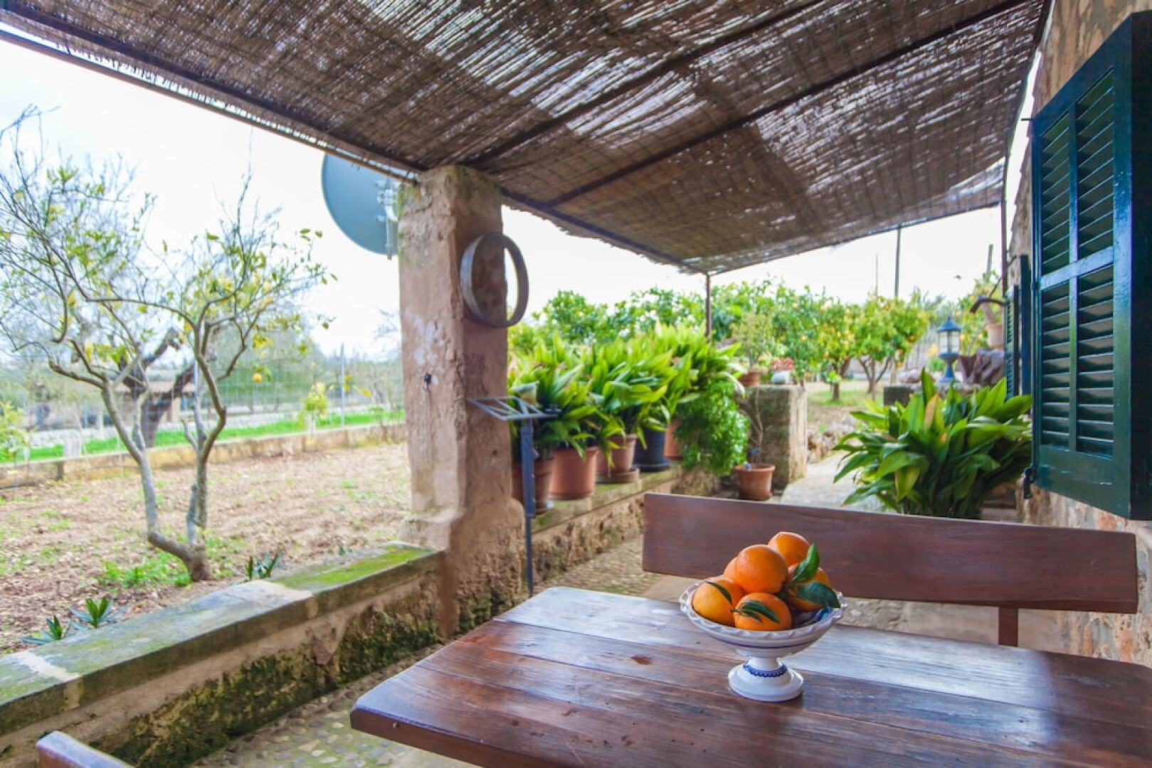 Finca Son Matginet 18