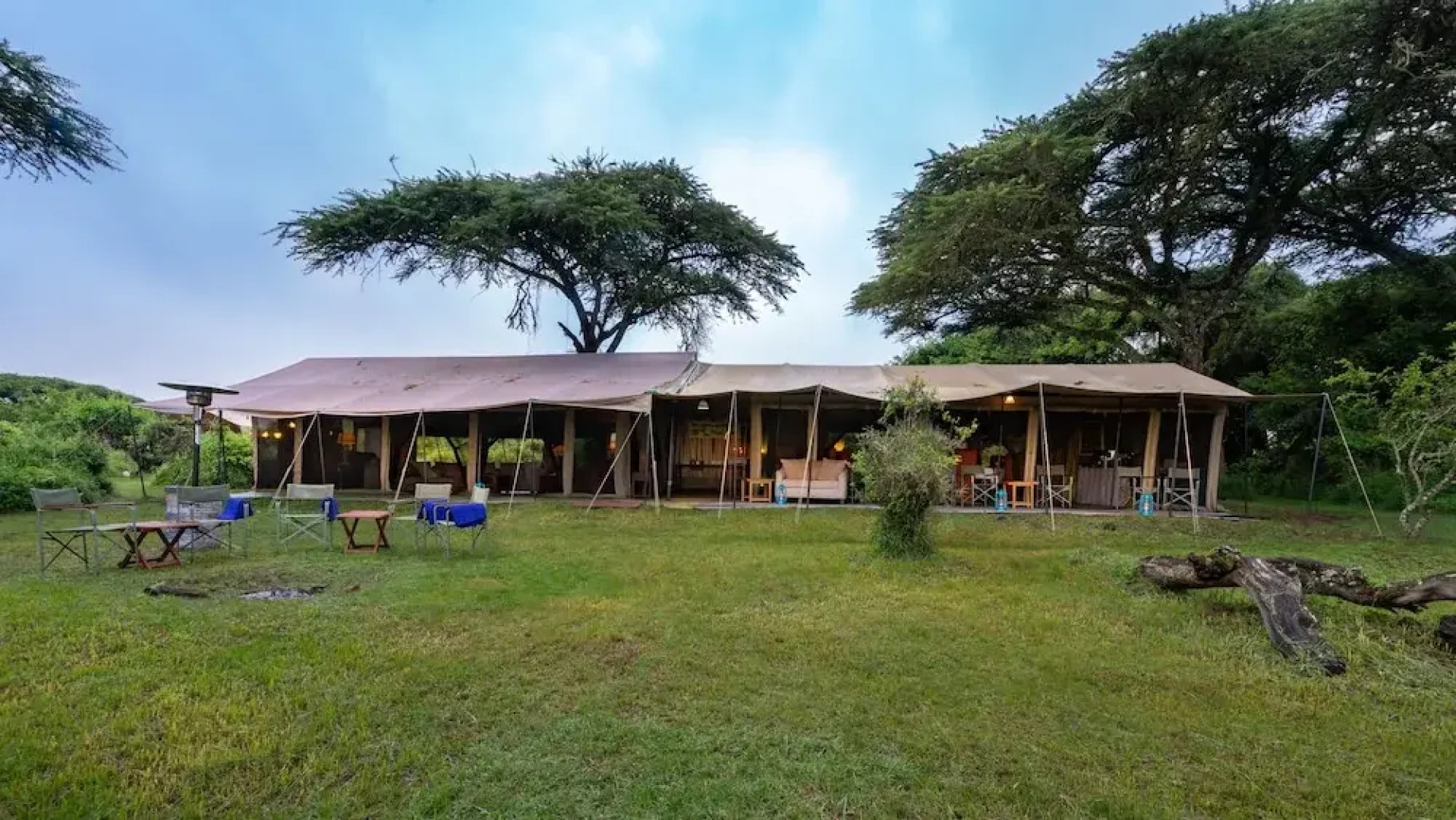 Ngorongoro Lions Paw