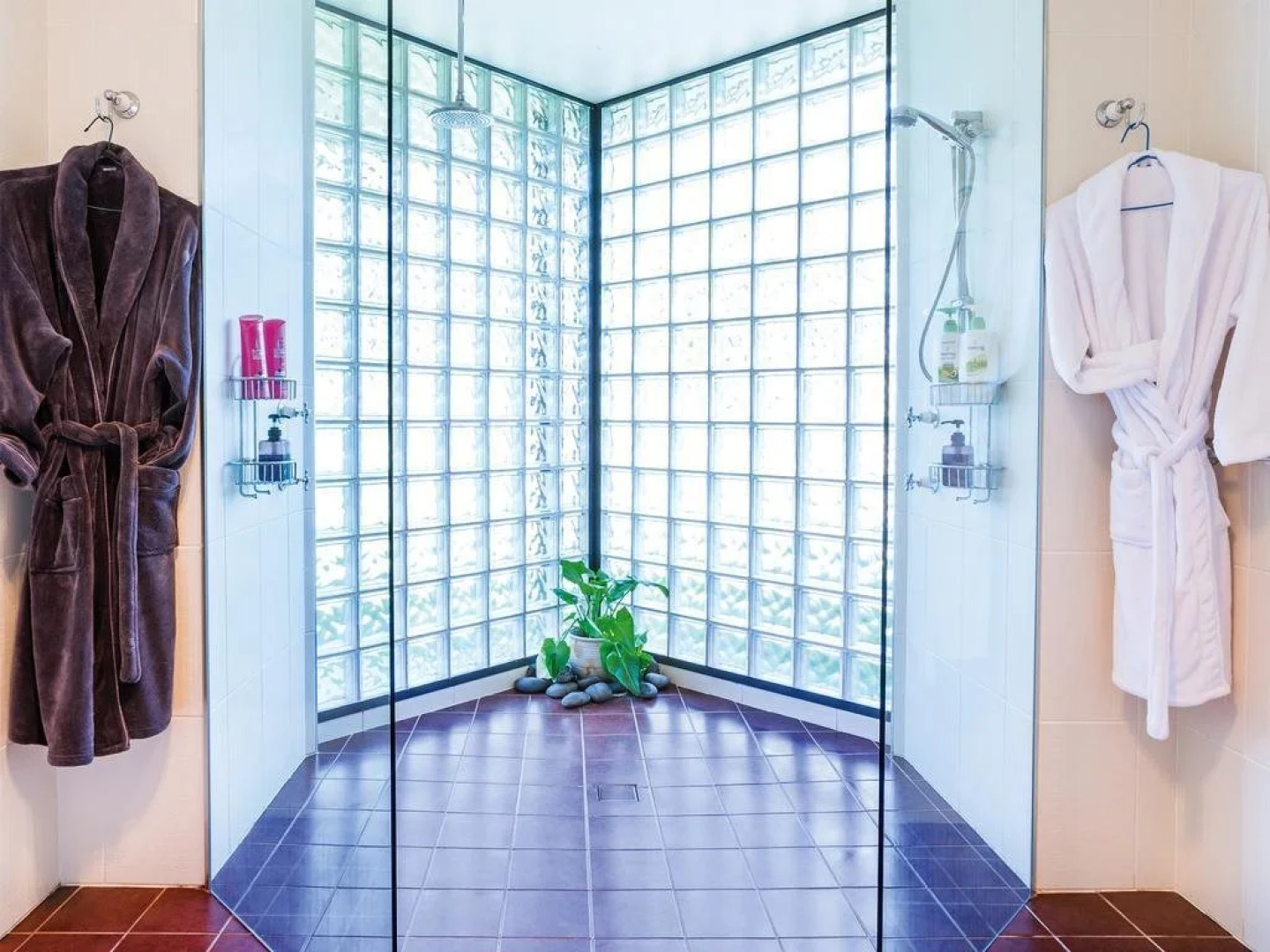 Breakfast with the Kangaroos