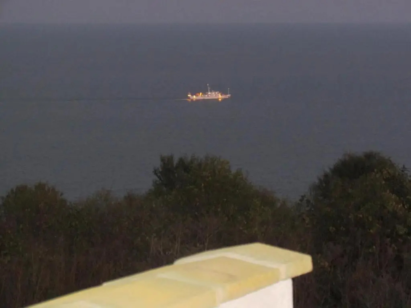 Villa Byala Grape House