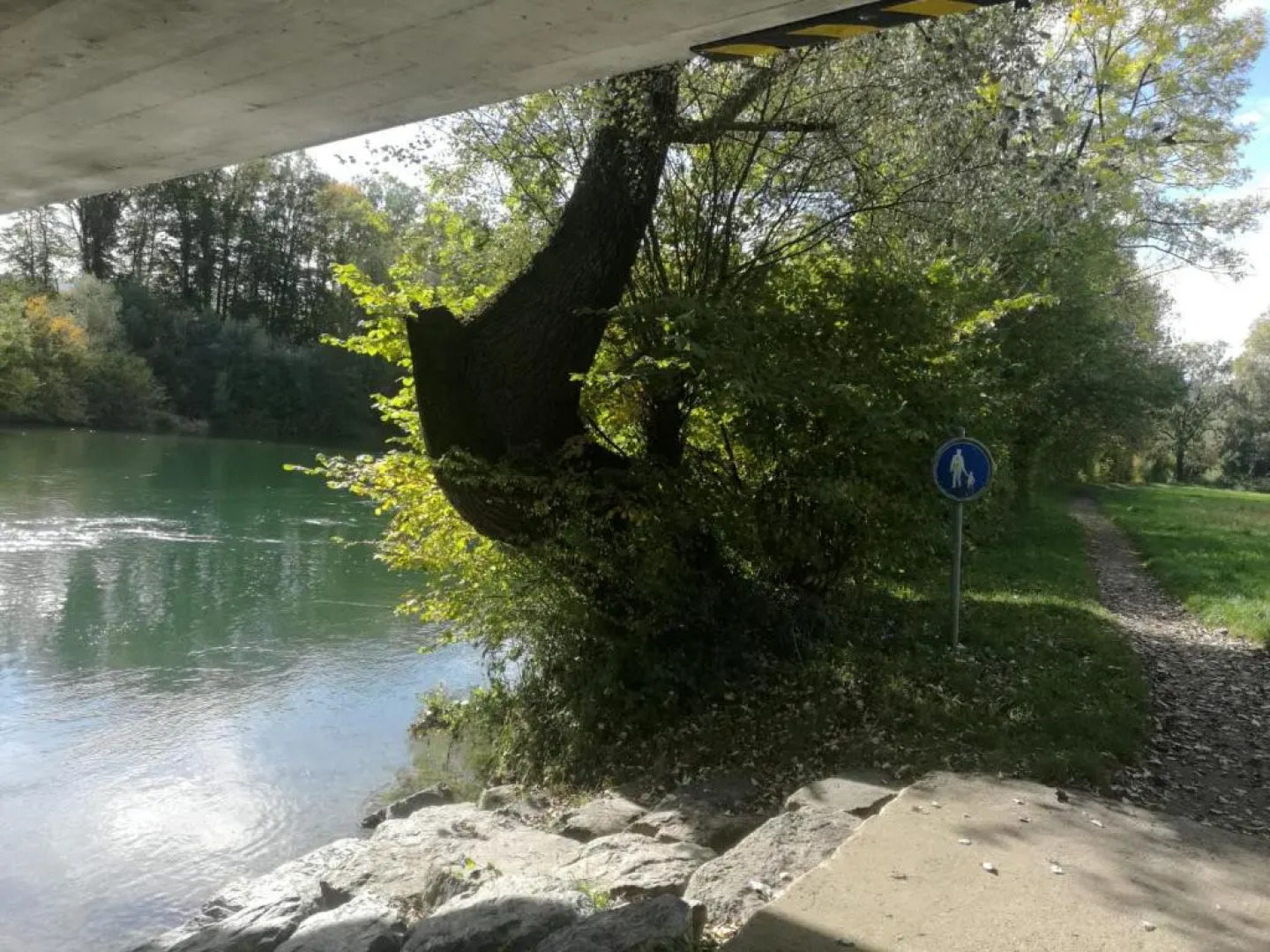 Mariposa Apartamento