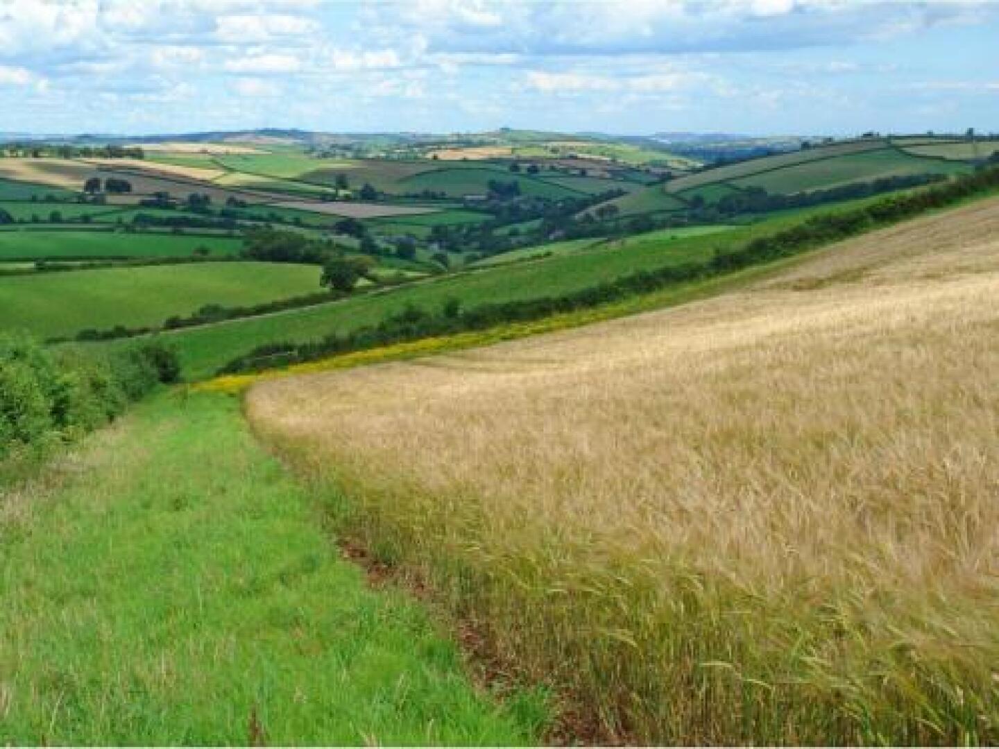 The Roundhouse, Halwell