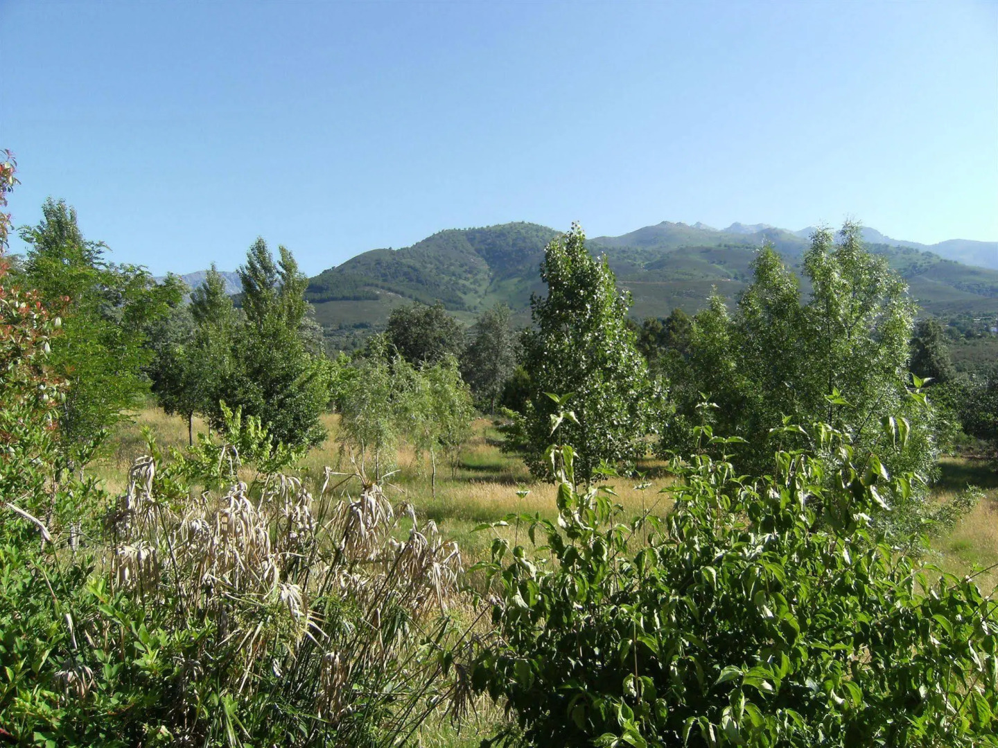 Casa Rural Chozos de Tejea