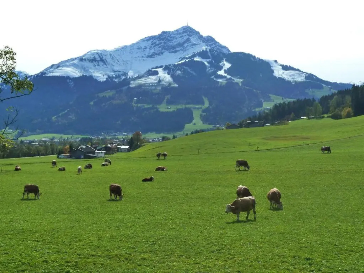 Ferienwohnungen Schneider