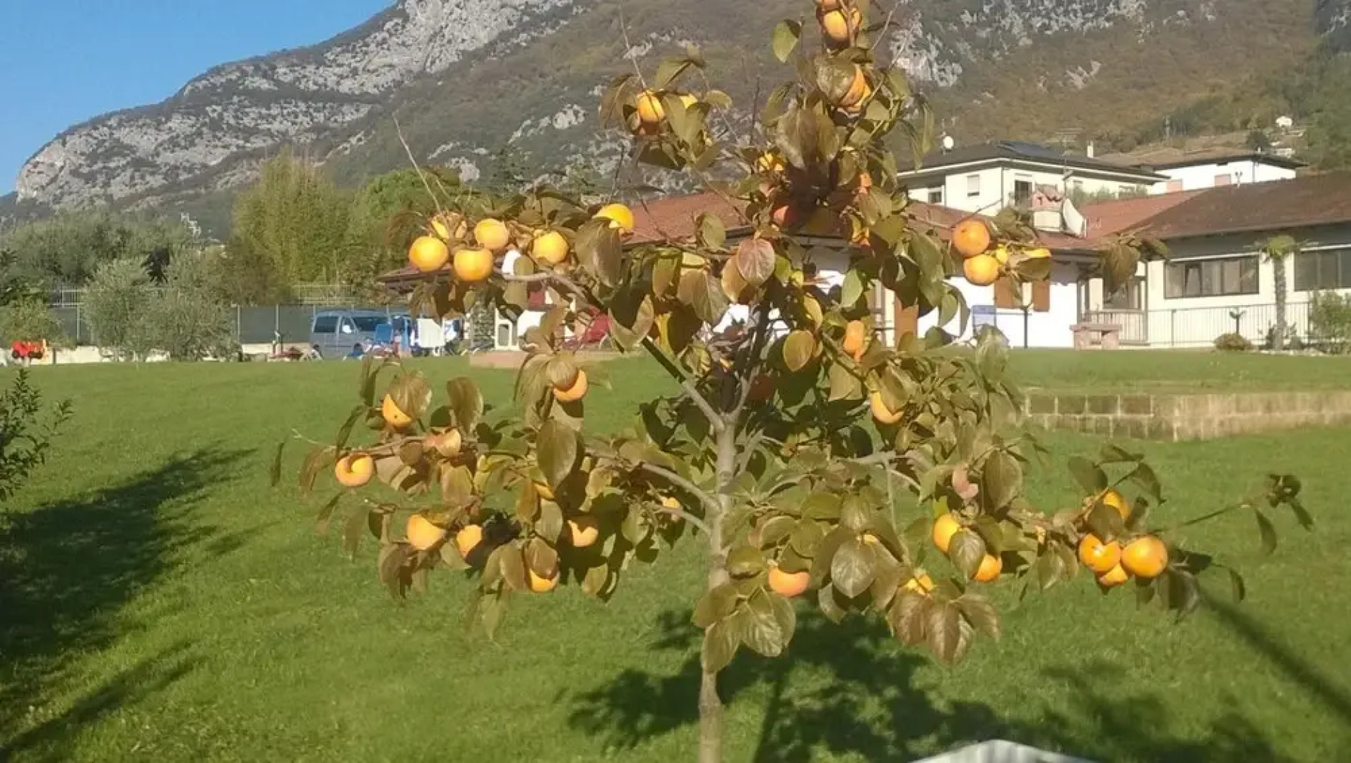 Agriturismo Trefrutti