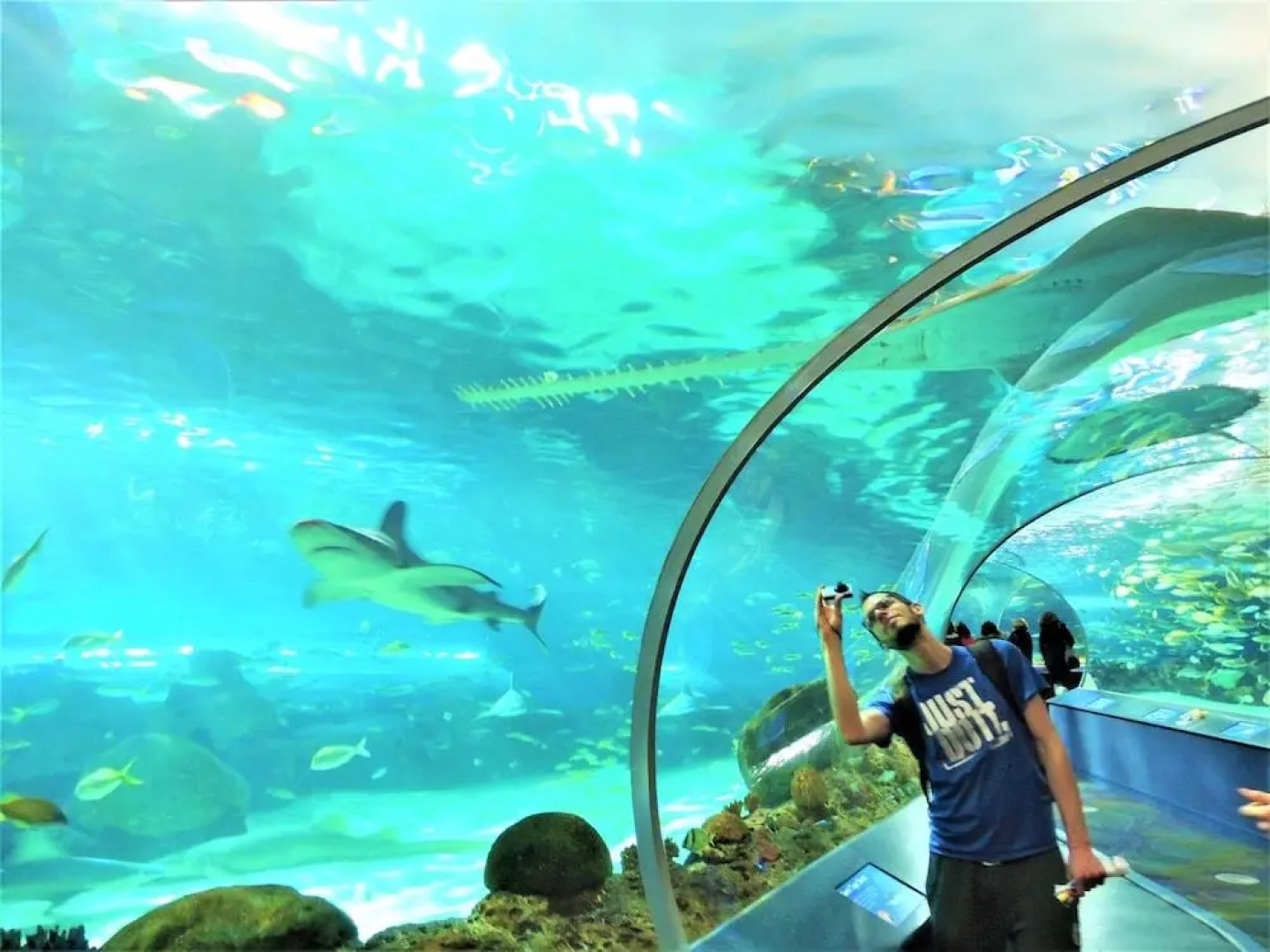 TVHR - Luxury Condos in Heart of Downtown