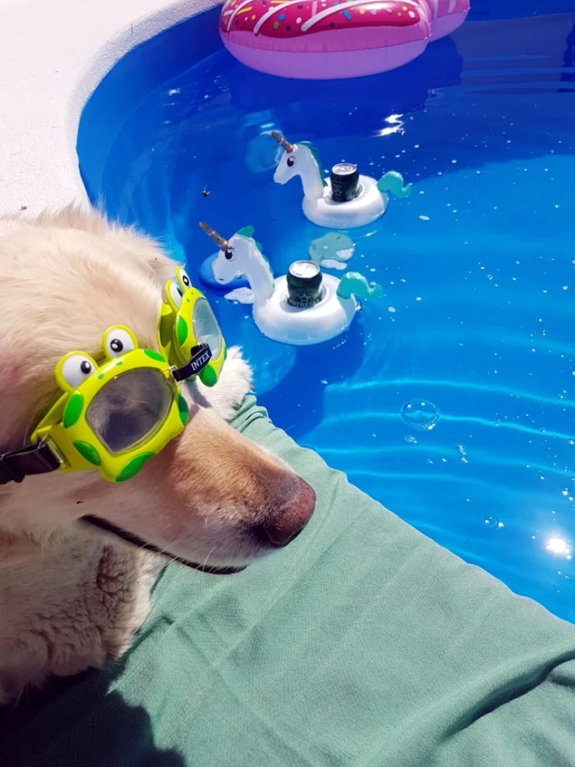 Villa Carretera Zarzadilla de Totana a Totana a 2 km