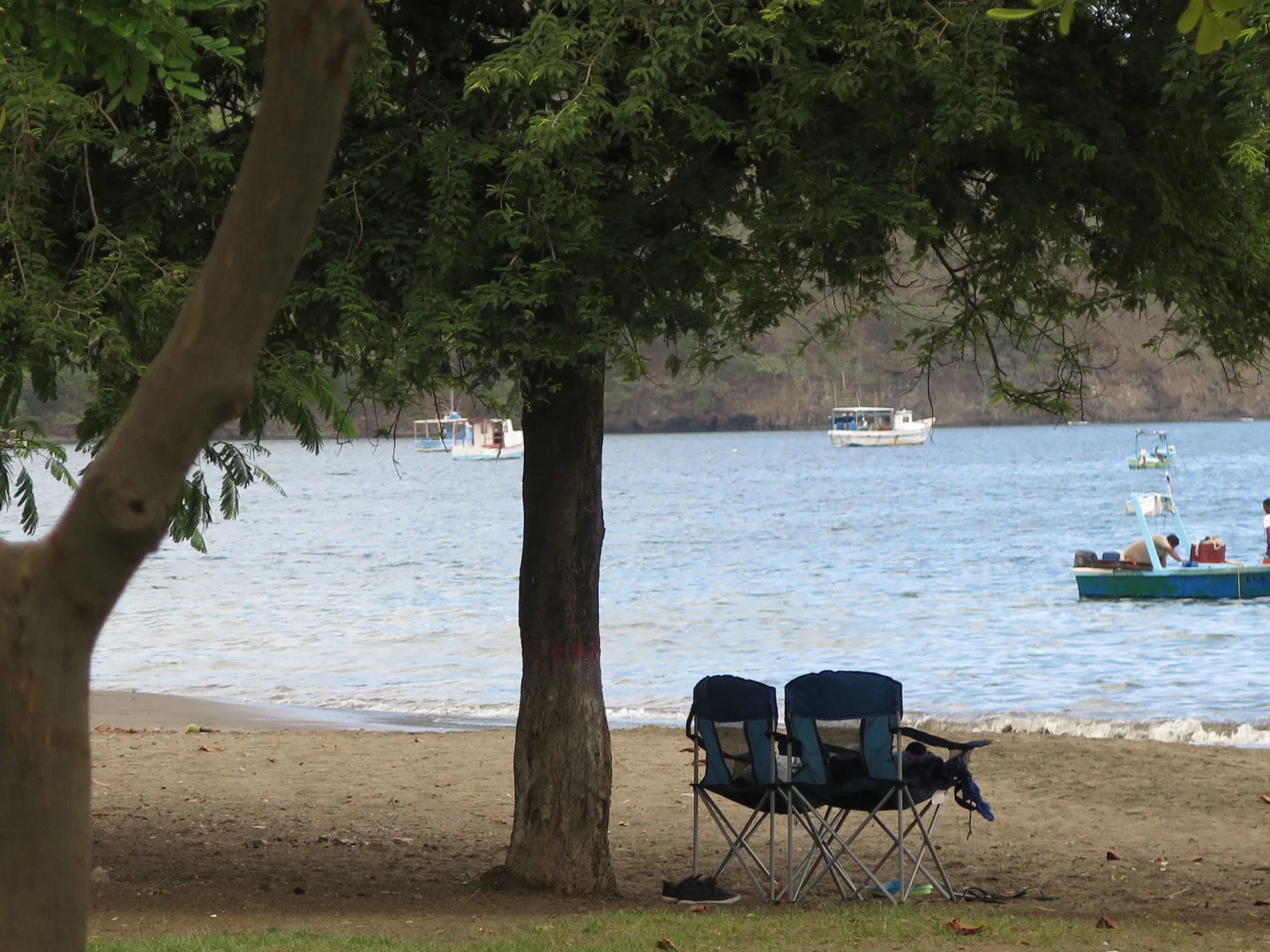 The Palms At Coco Beach