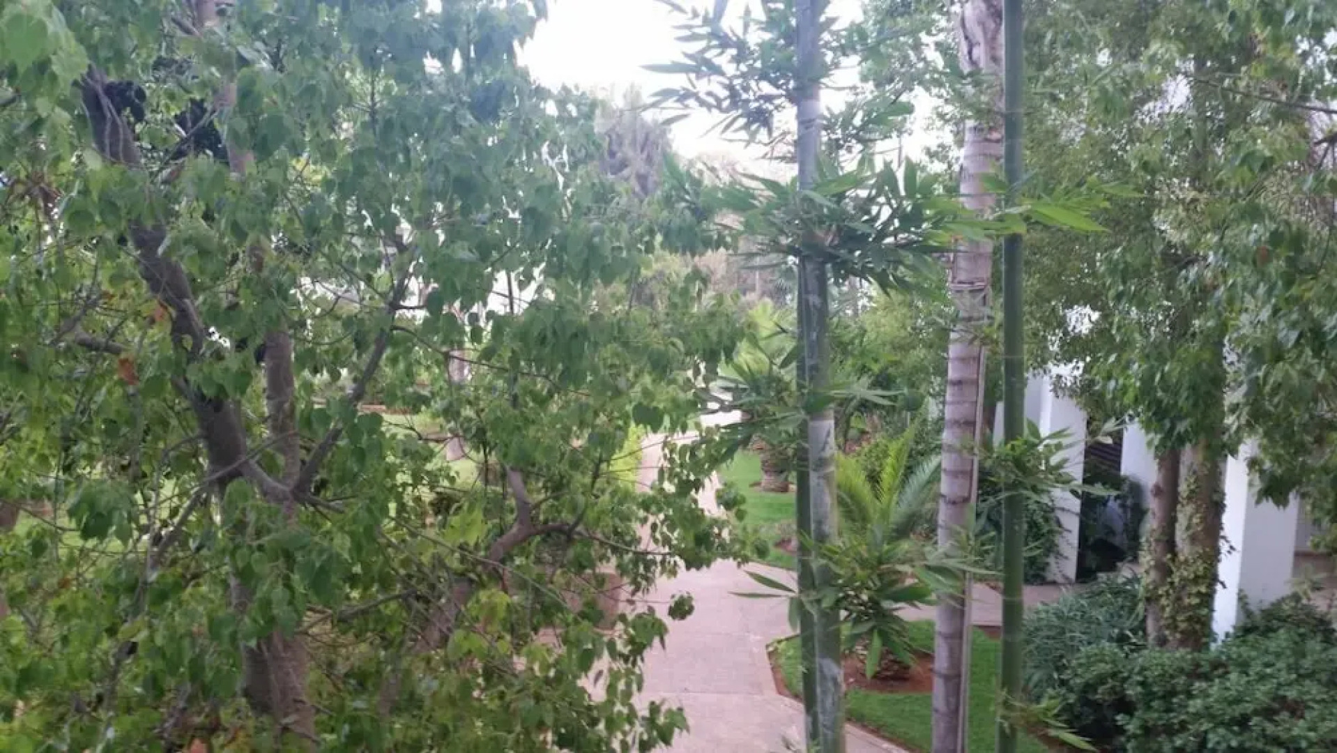 Appartement tres haut standing