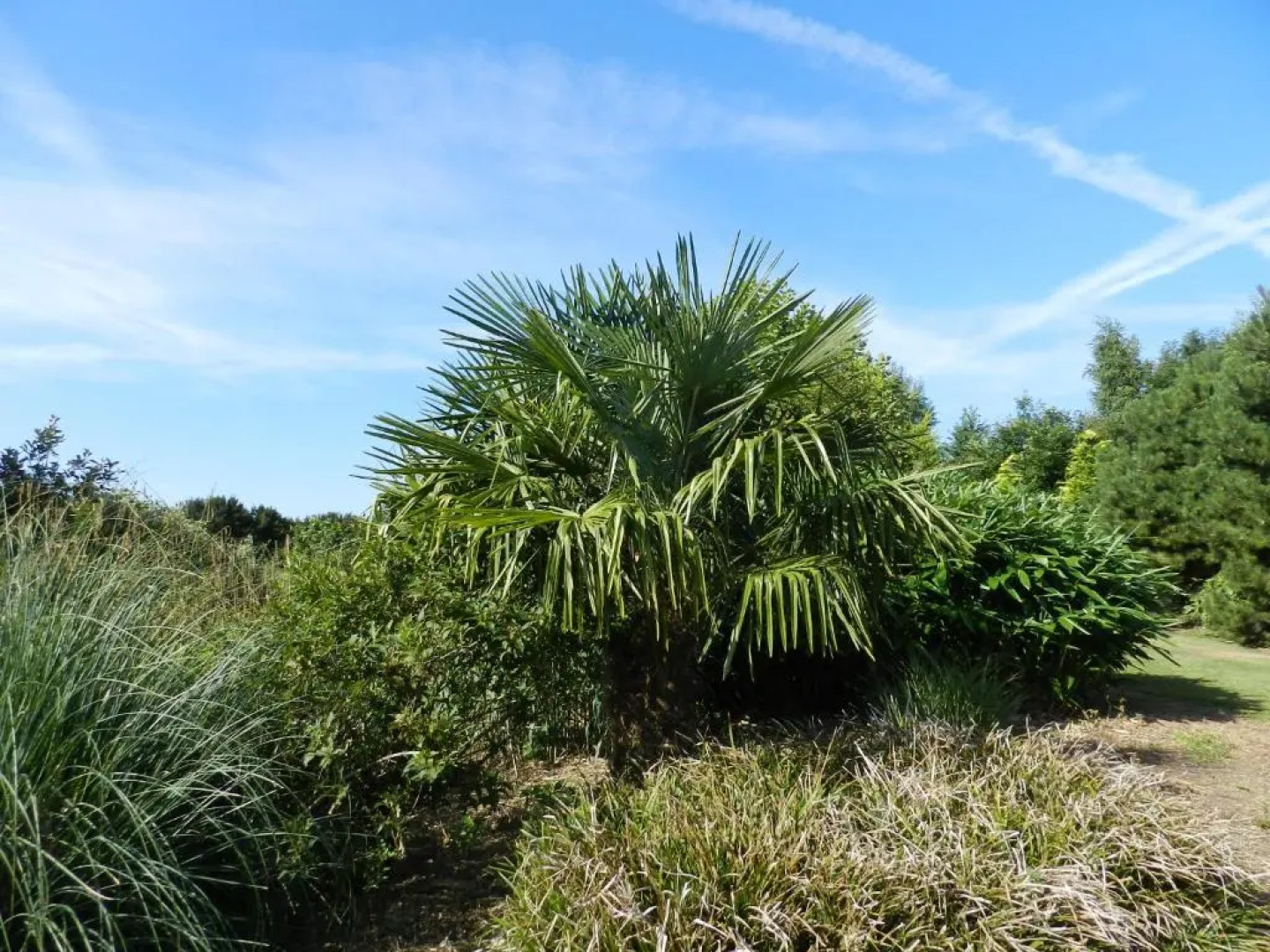Gîte La Grenouillère
