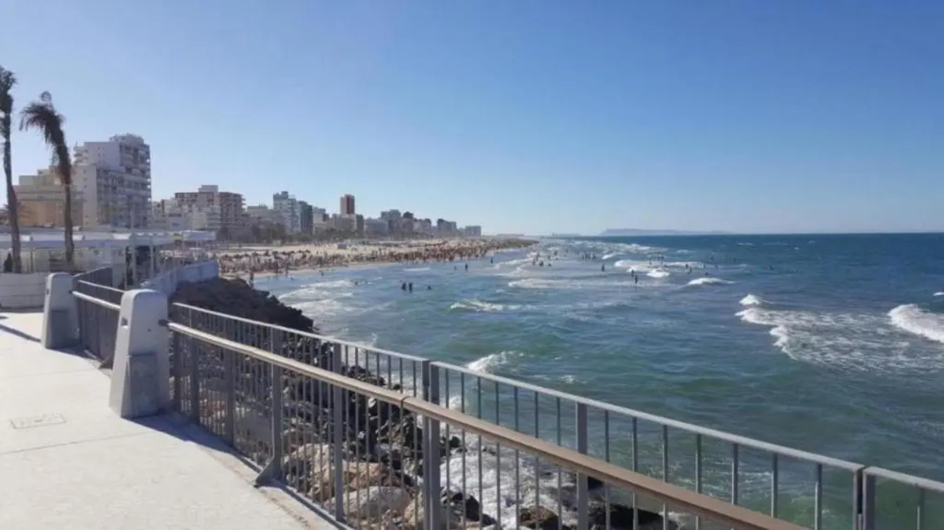 Corazon de la safor, Ador