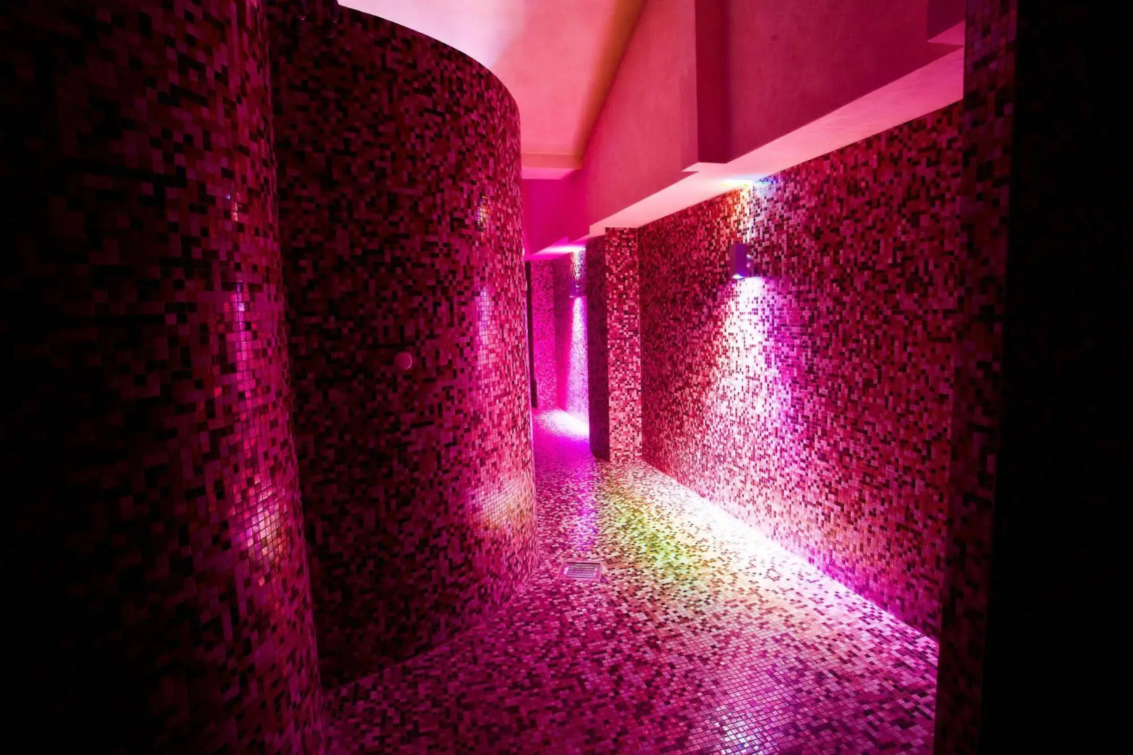 Palace Hotel San Michele