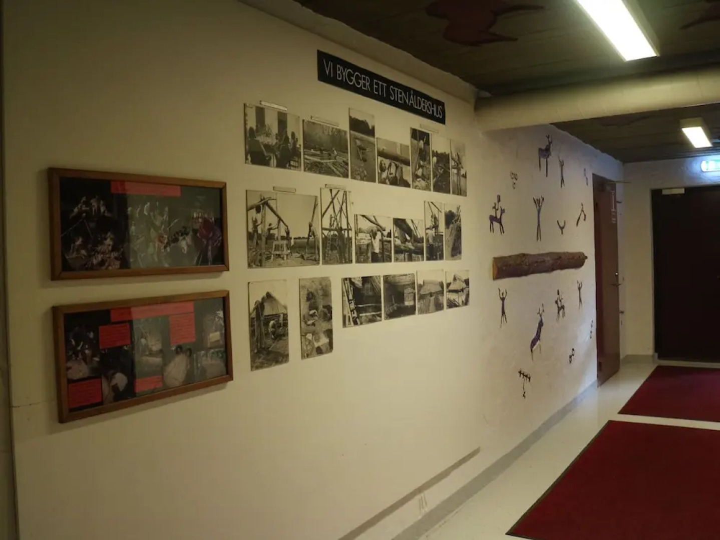 Grottbyn - Skånes Djurparks Camping