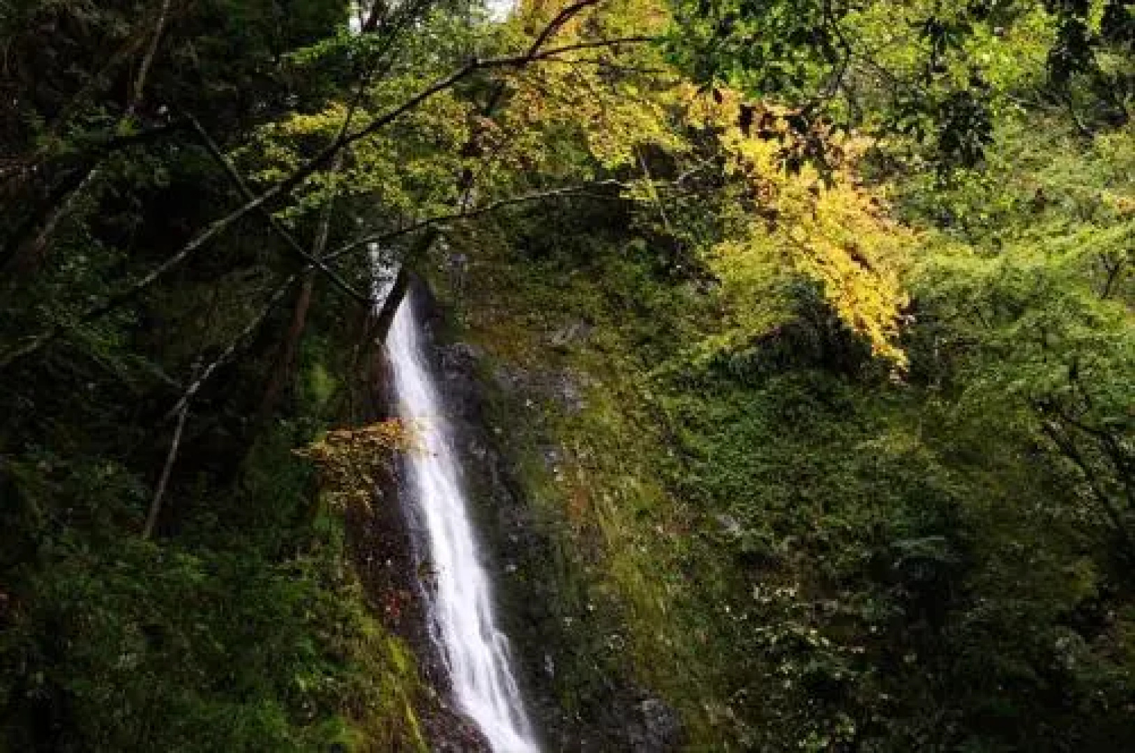 Yadori Onsen Iyashinoyu