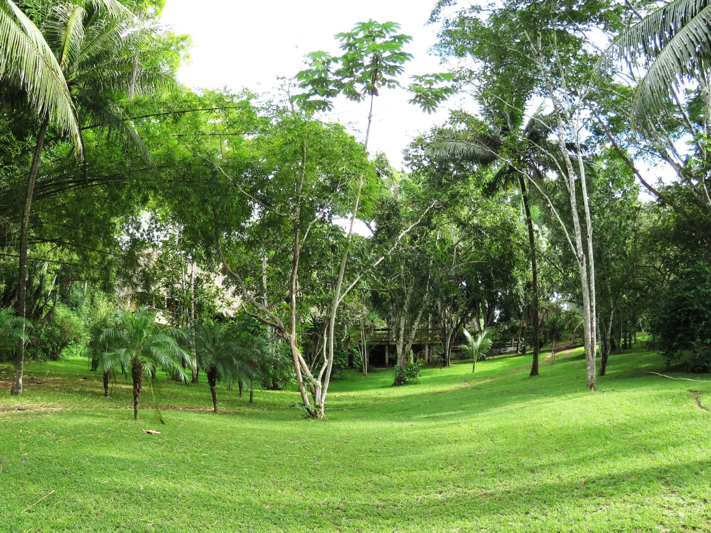 Crystal Paradise Resort
