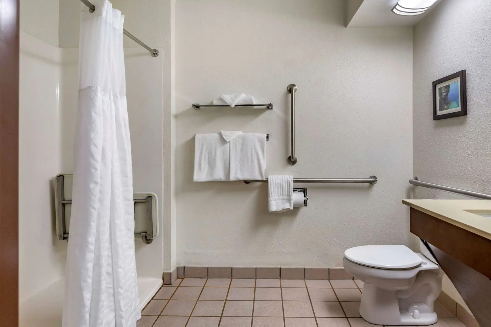 Comfort Inn Okemos - East Lansing