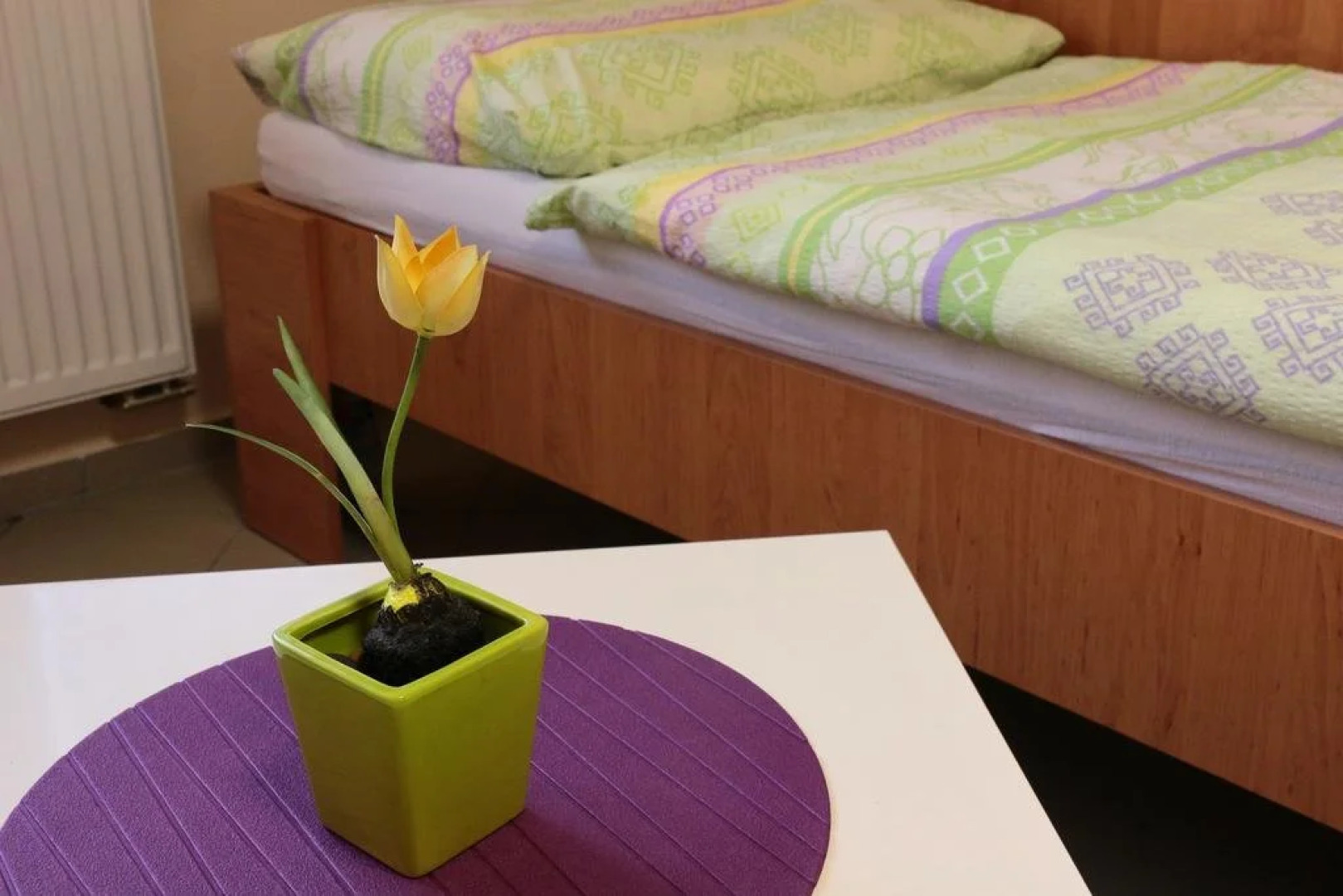 Ubytovna u Kožovy Hory