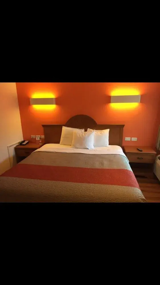 Super 8 - North Lima OH