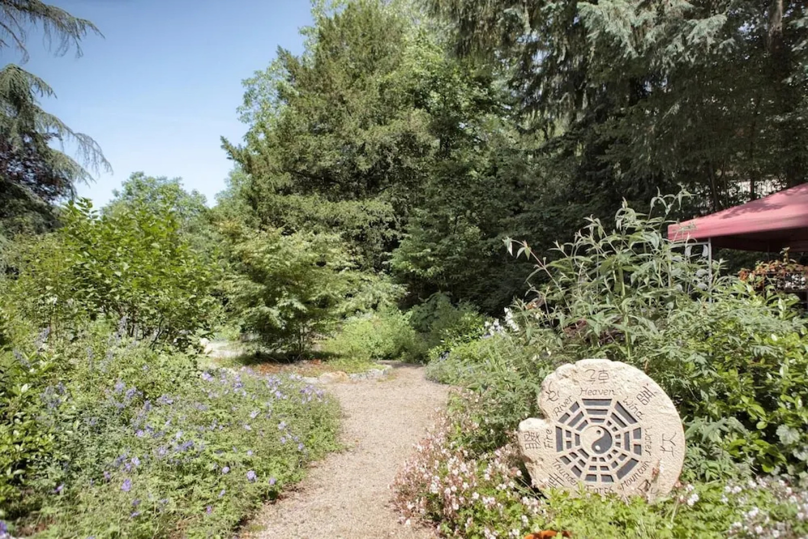 Balance-Hotel am Blauenwald