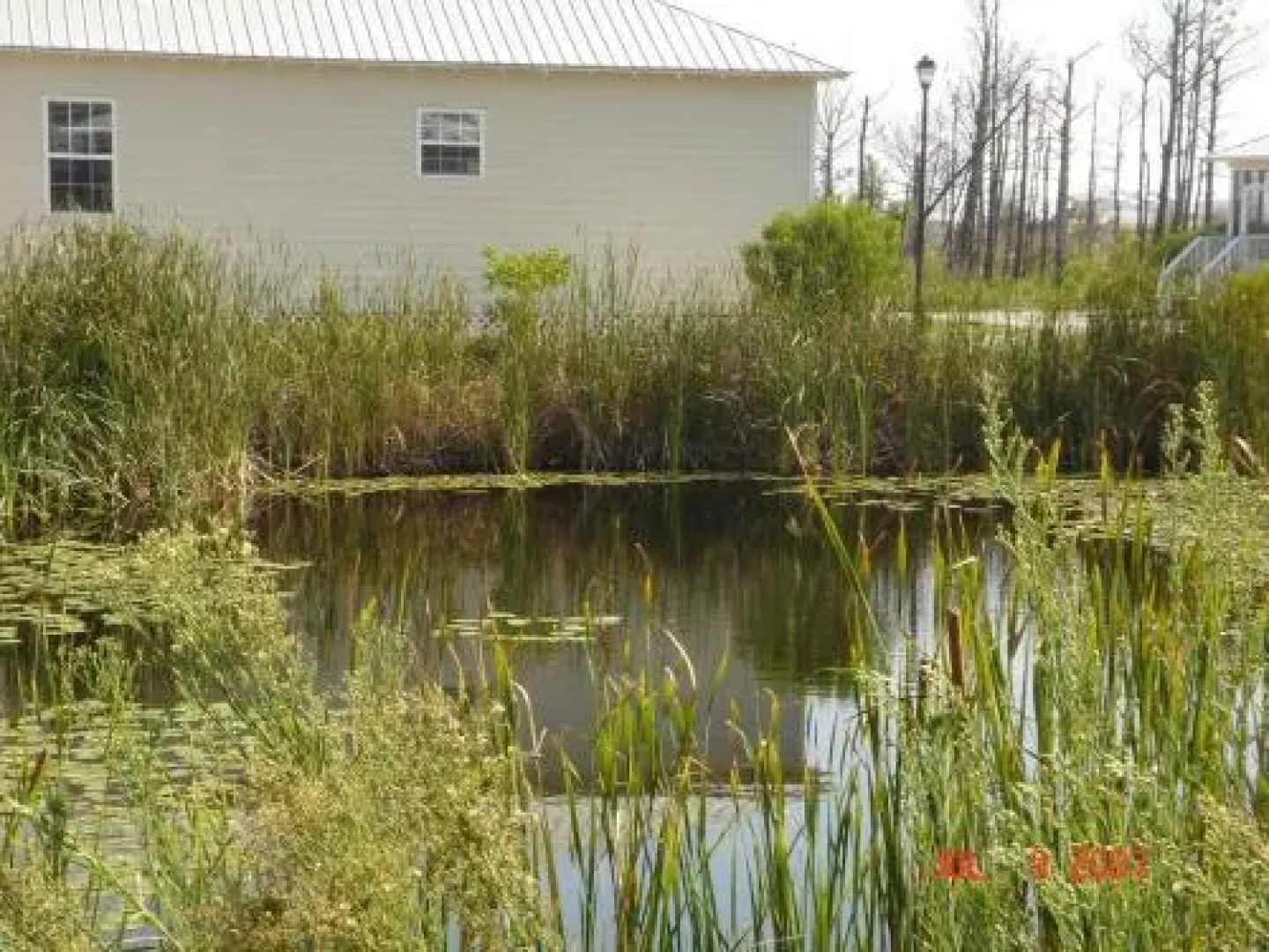 The Rookery Unit 3501