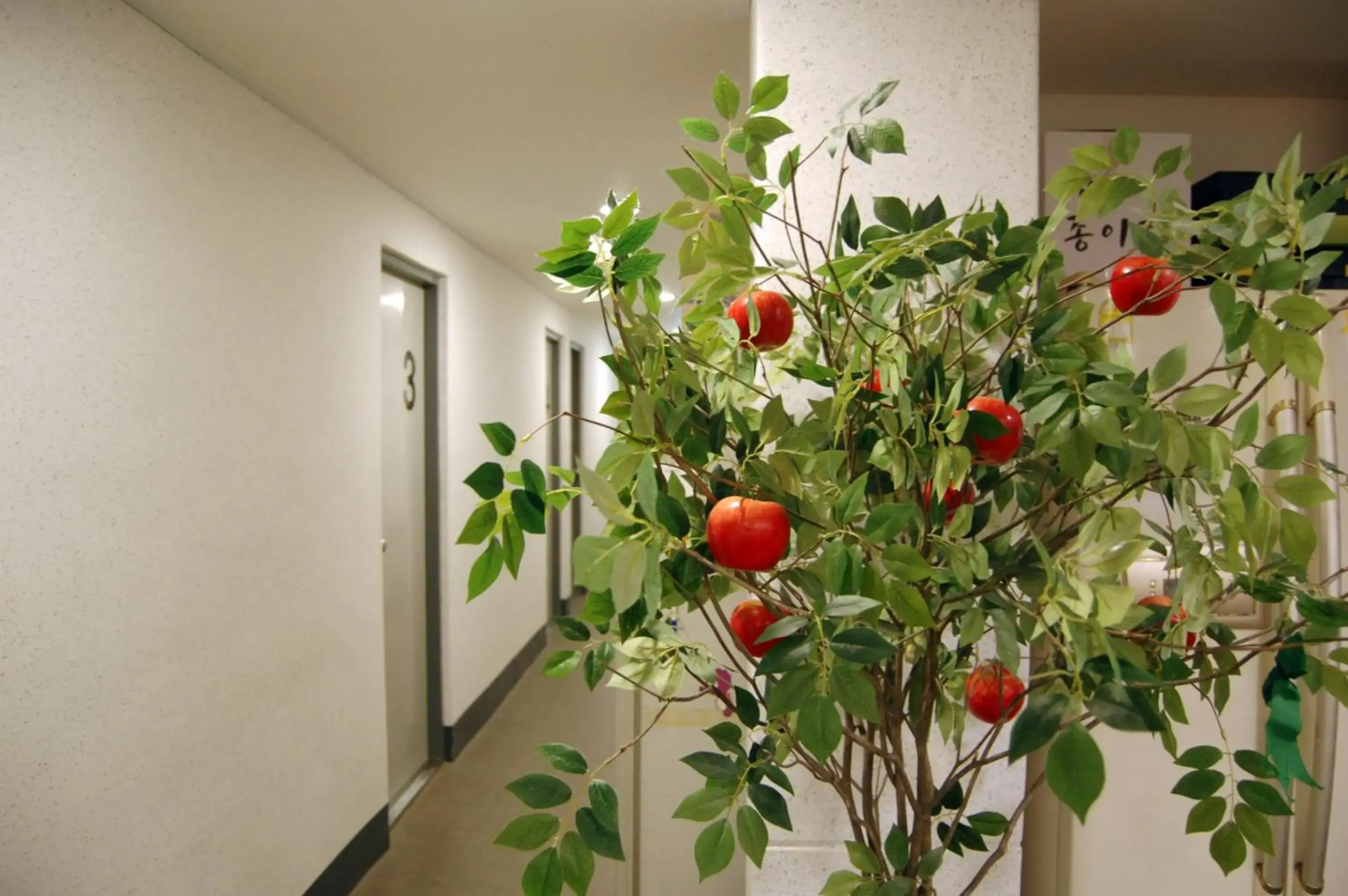 Empathy Dongseongro Guesthouse