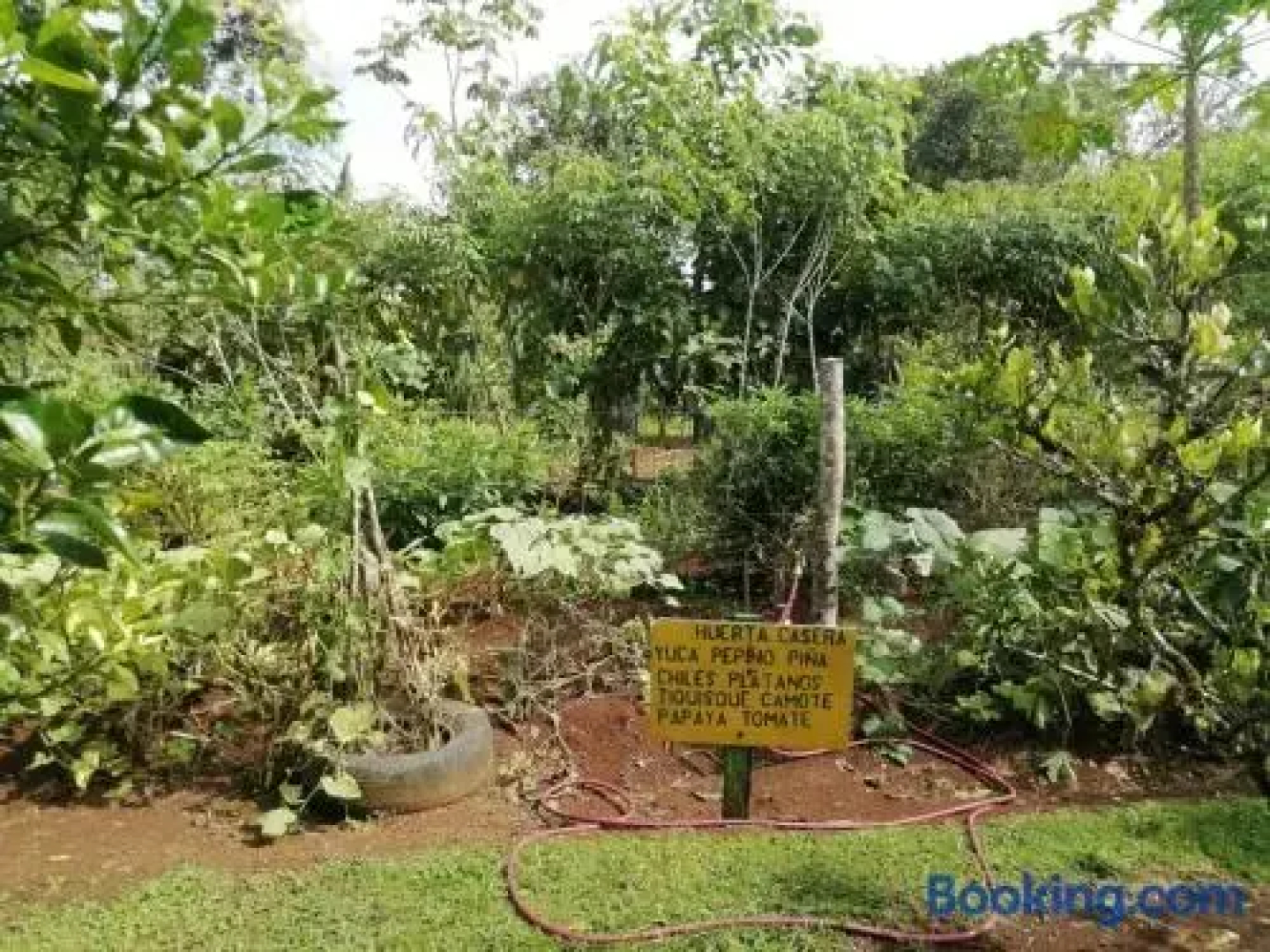Posada Rural Oasis