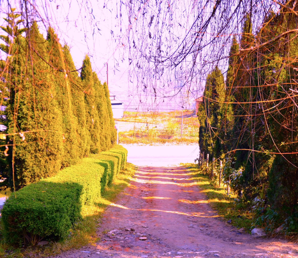 Araniko Village Resort