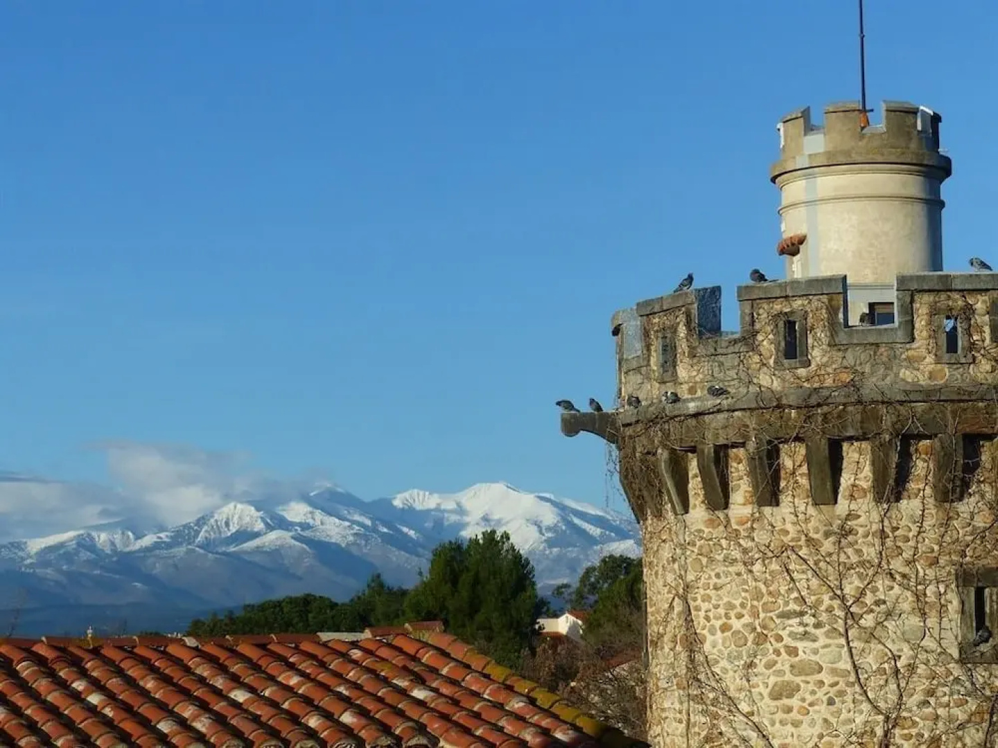 Château D'ortaffa
