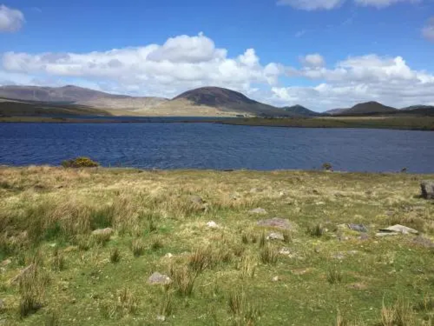 Western Greenway B And B