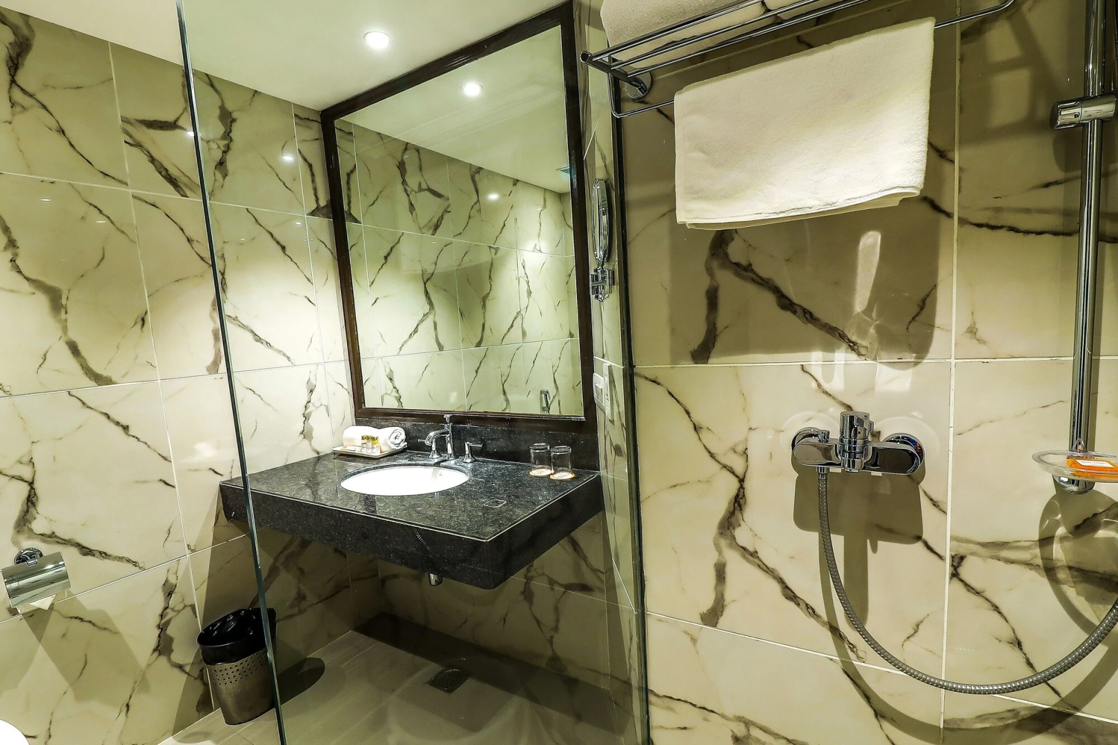 Hotel Piccadily Raipur