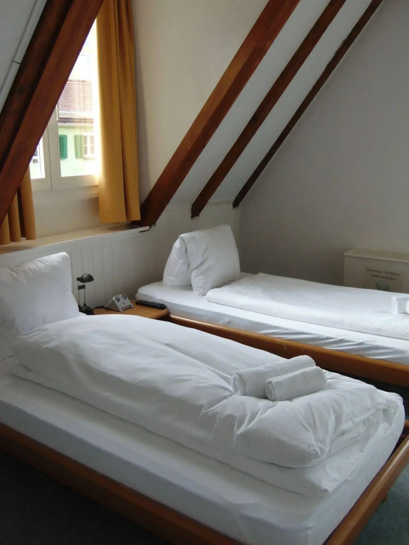 Hotel Zunfthaus zur Rebleuten