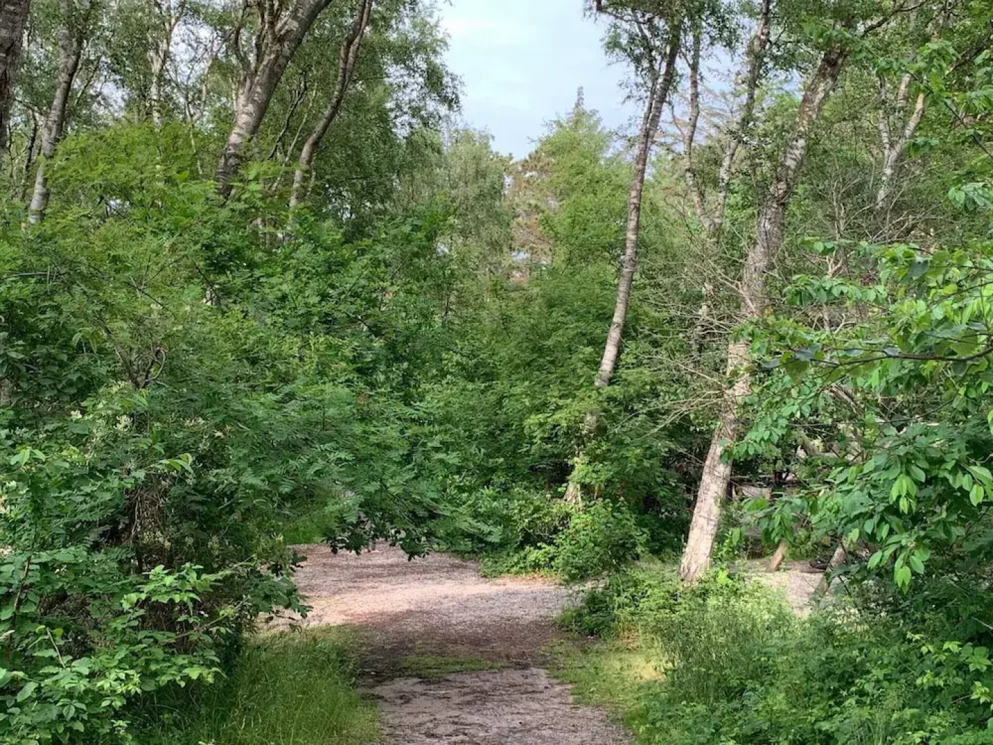 5 Star Holiday Home in Liseleje