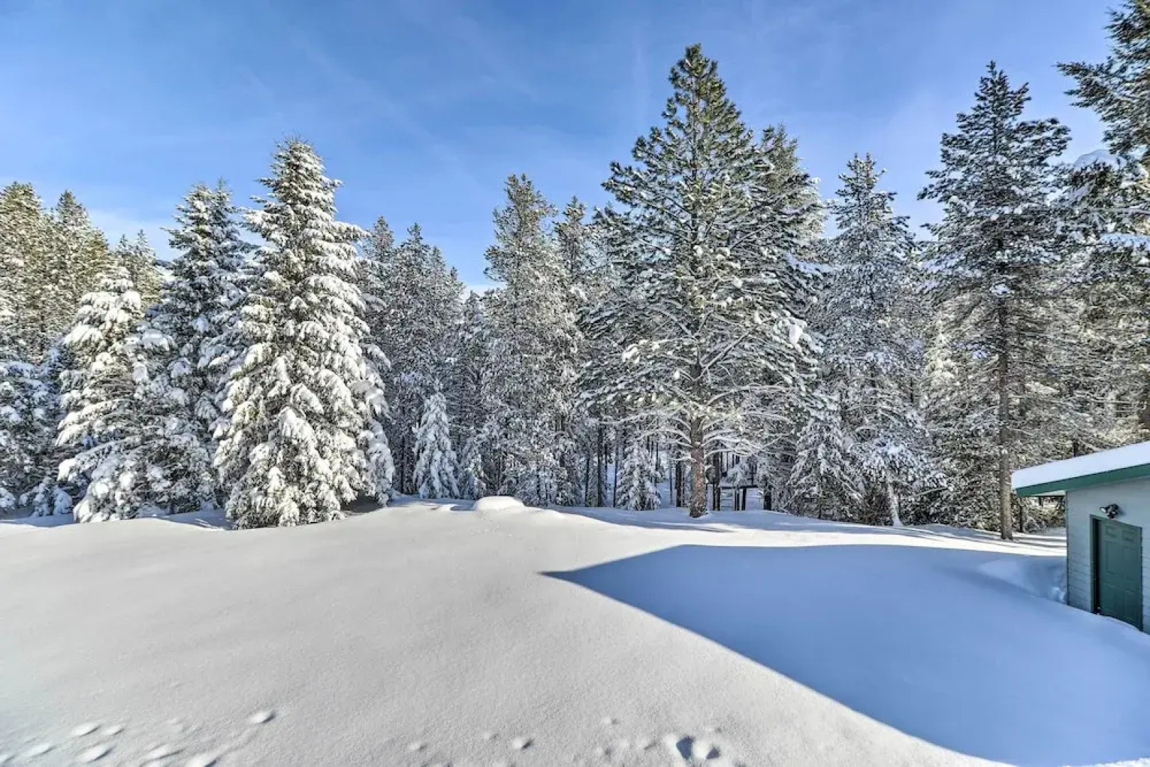 Scenic Forest Lodge Outside Glacier National Park!